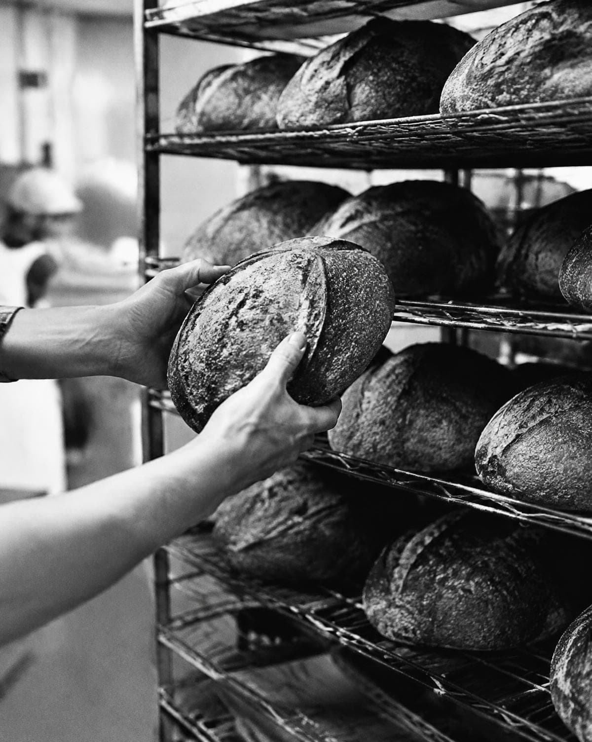 Fresh loaves of bread on a bakery rack